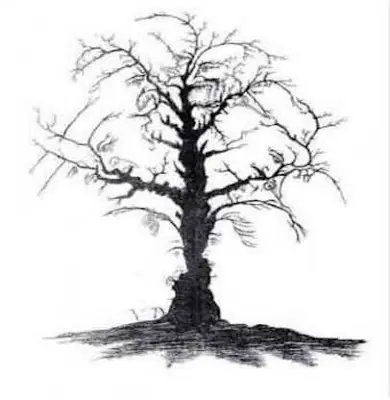 !taringa super post de arte¡:imagenes con doble sentido