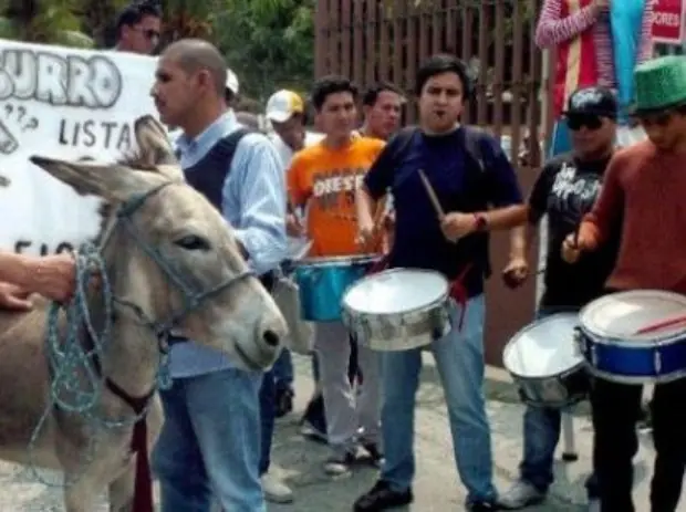 Cansados de los políticos, propusieron a un burro como cand