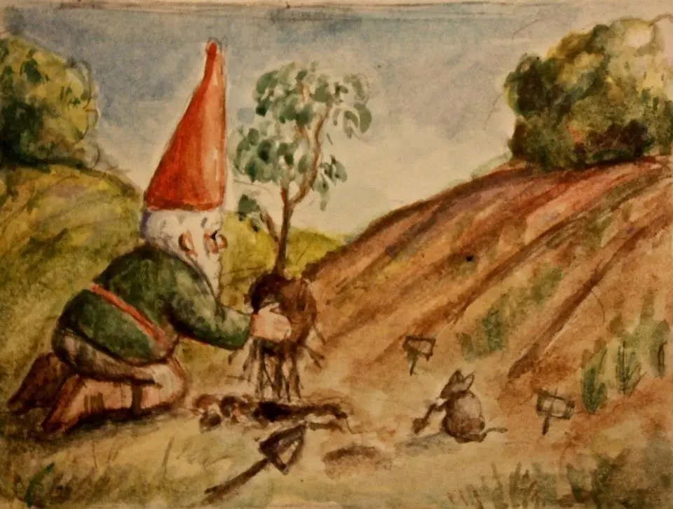 La vida de un Gnomo