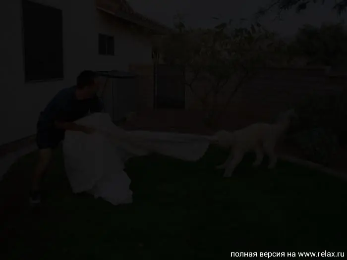 ¿Cómo  Utilizar El Vestido de Novia Si Eres Divorciado?