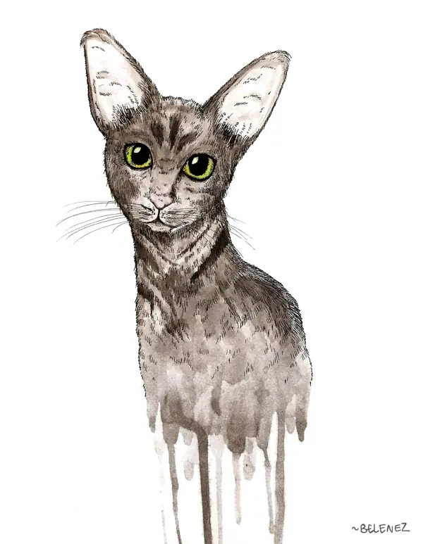 Dibujo