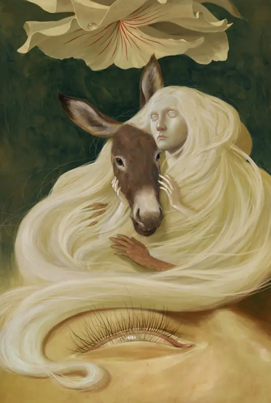 ilustraciones