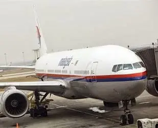 Rothschild y la tragedia del vuelo de Malasia