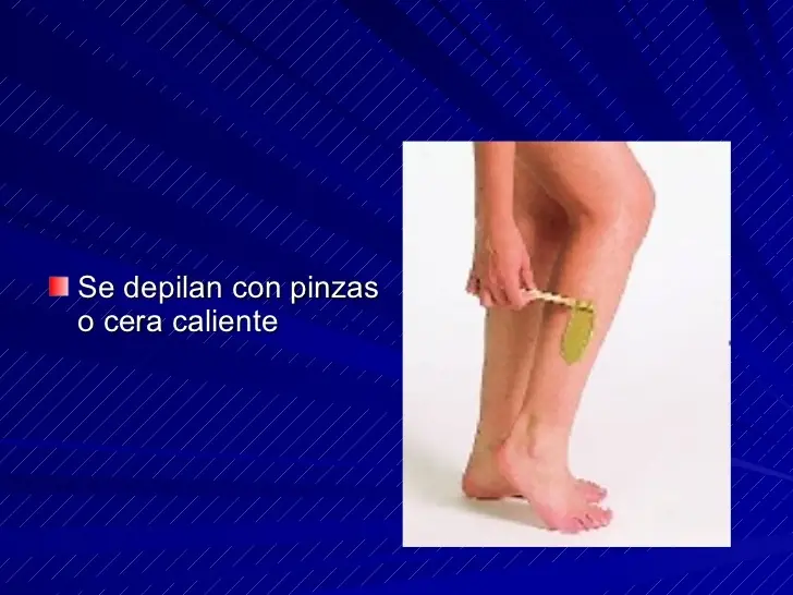 dolor