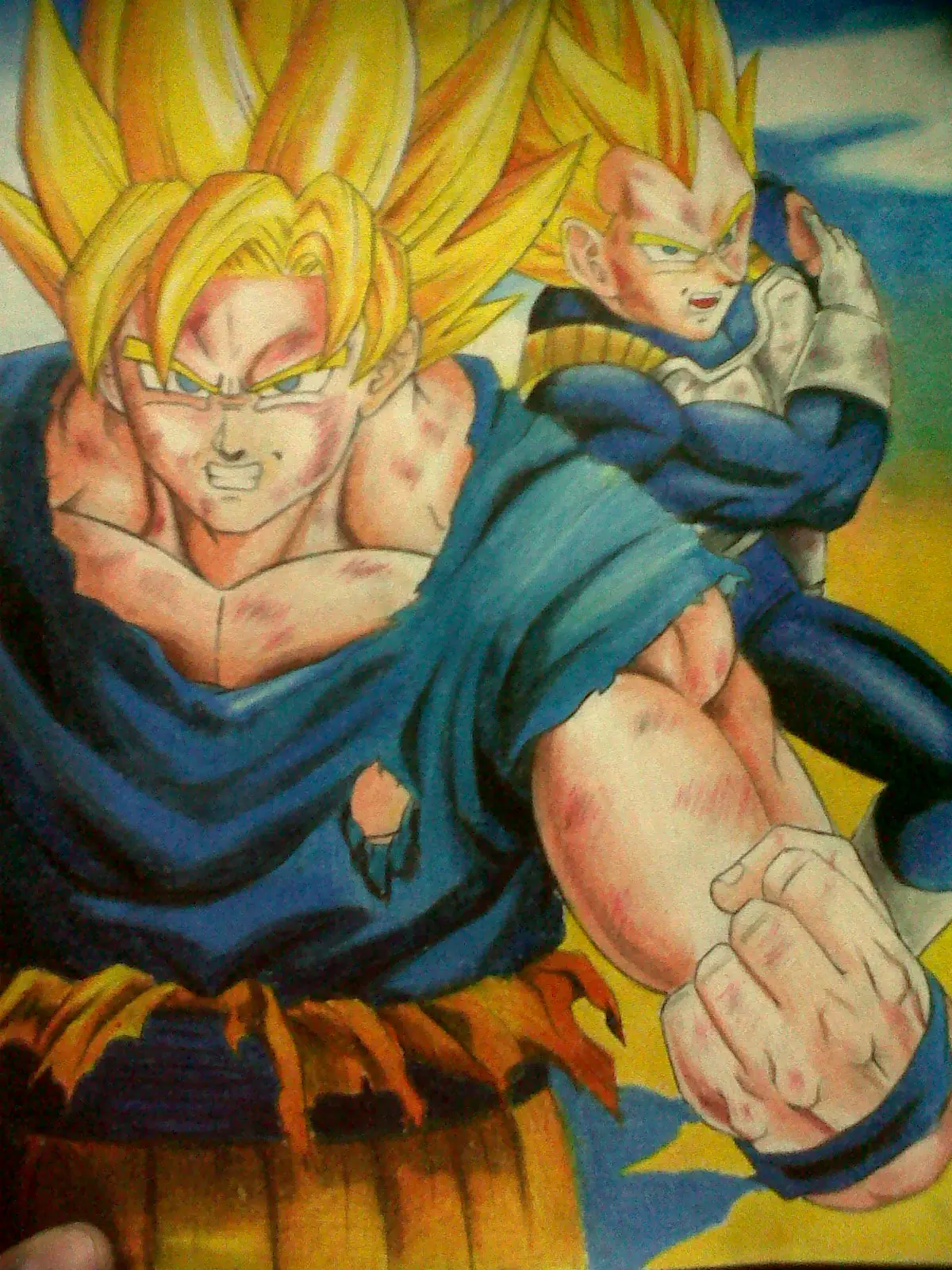 vegeta