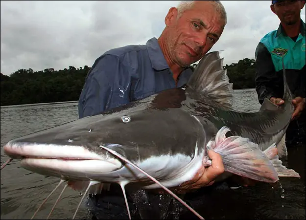 Pesca