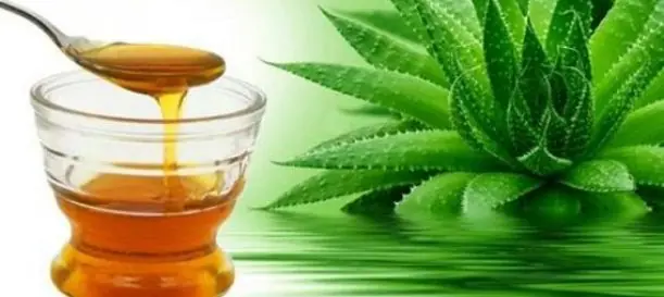 Azúcar de agave ayuda al control de peso