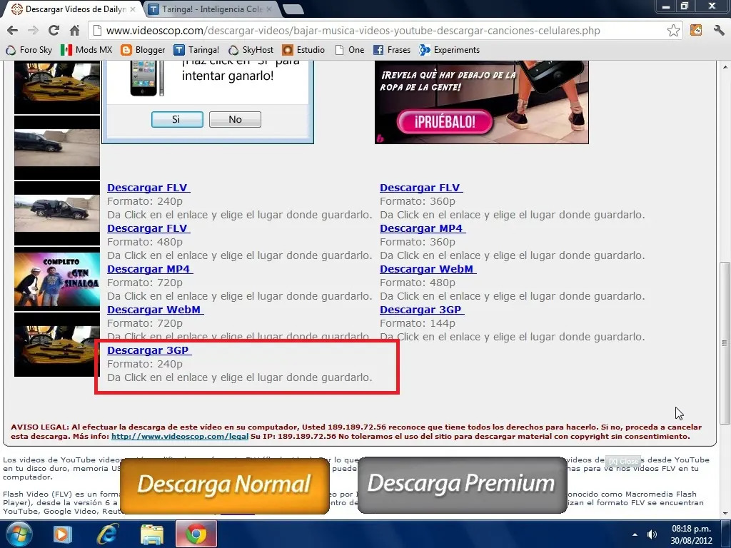 webm
