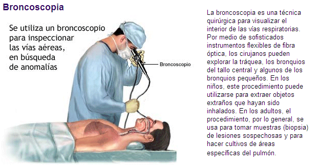 pulmones