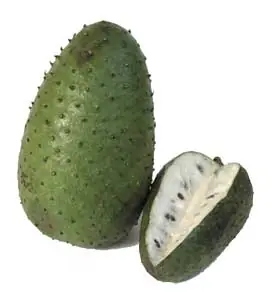 Cura para el Cancer (podria estar en la guanabana)