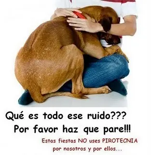 prevenir
