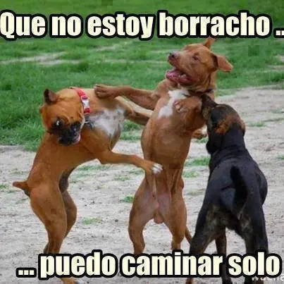imagenes