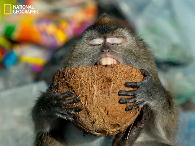 Fotos mágicas  de NatGeo