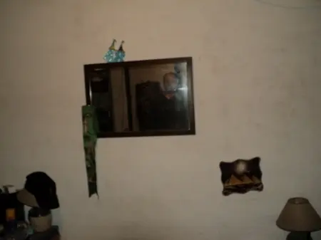 pimtor
