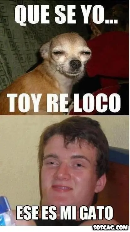reir