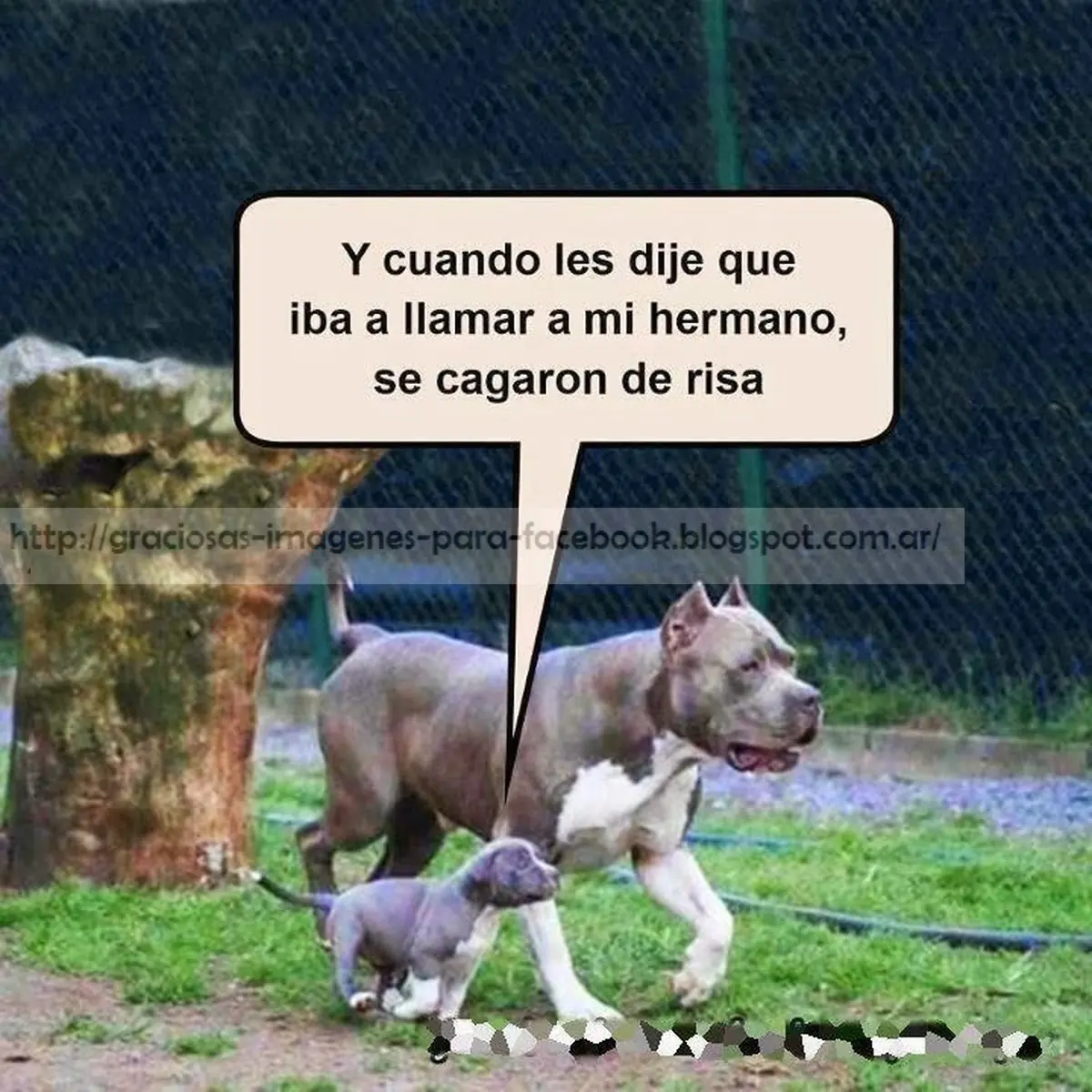 imagenes