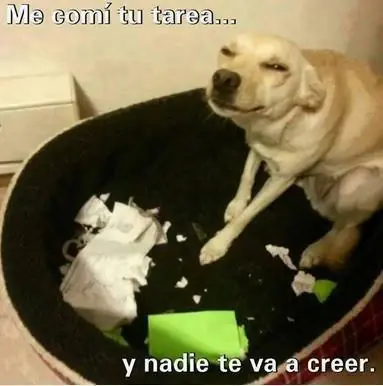 imagenes
