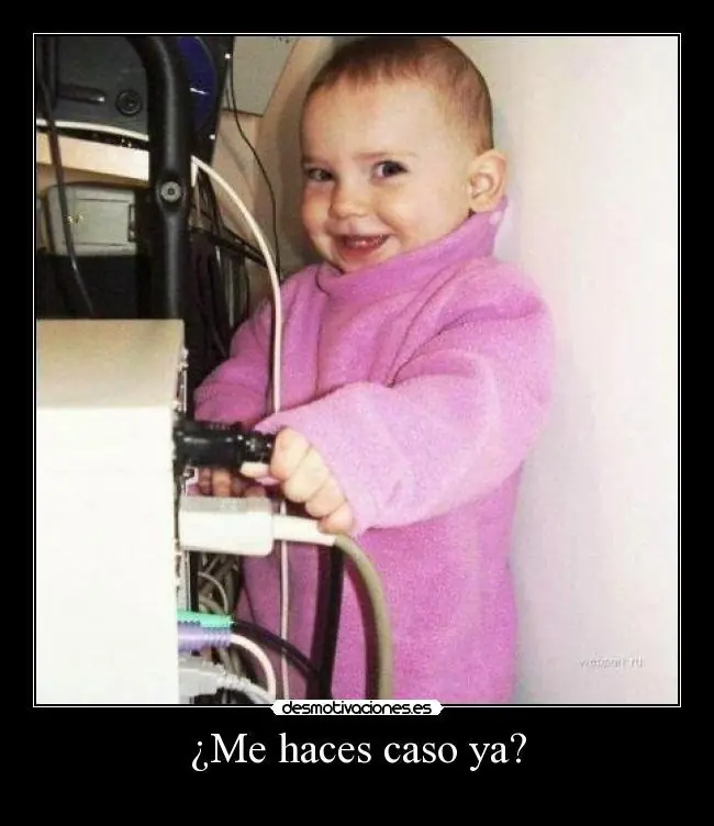 reir