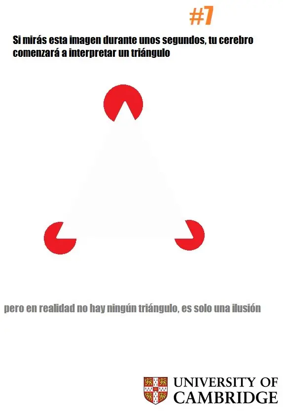 Compilación de ilusiones ópticas propias jamás vistas.