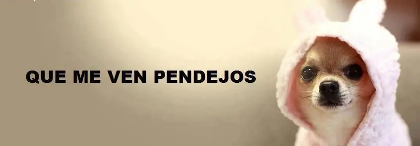 imagenes