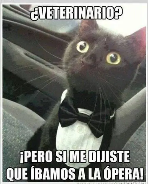 reir