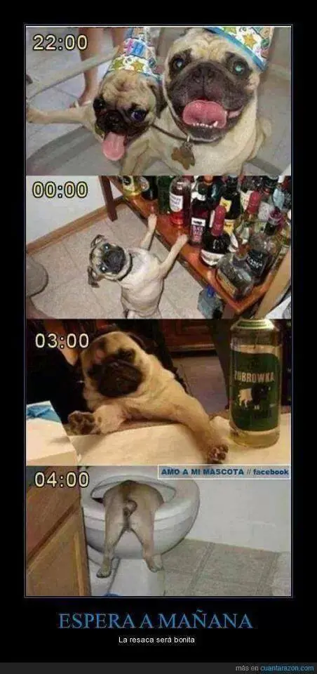 imagens