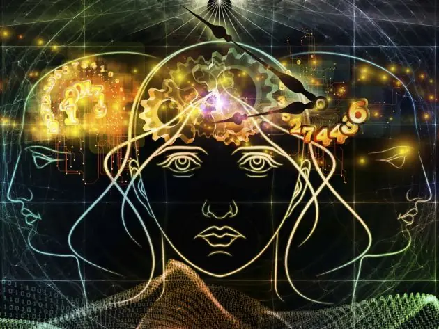 cerebro