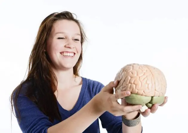 ¿Cómo funciona el cerebro adolescente?