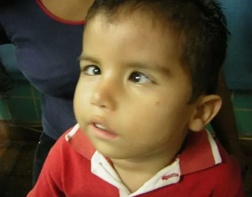 hombre lobo