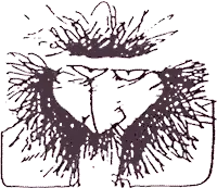 Fontanarosa