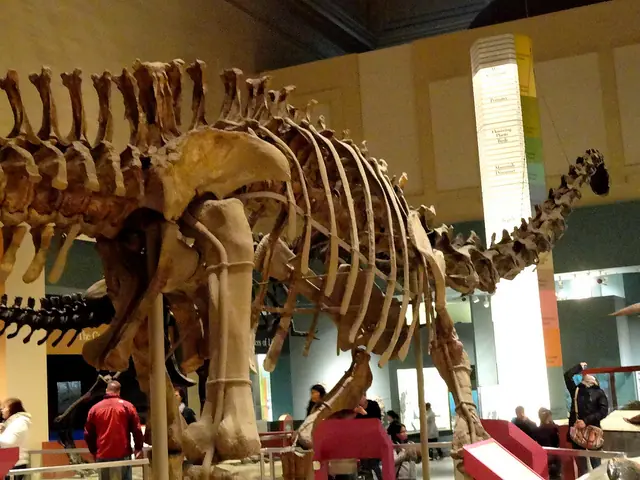 Encuentran fósil de dinosaurio de 150 millones de años