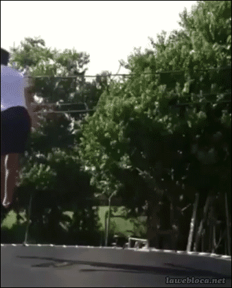 Los mejores gifs (?