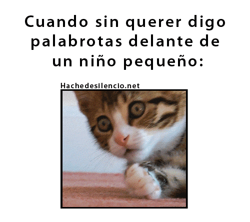 Gifs