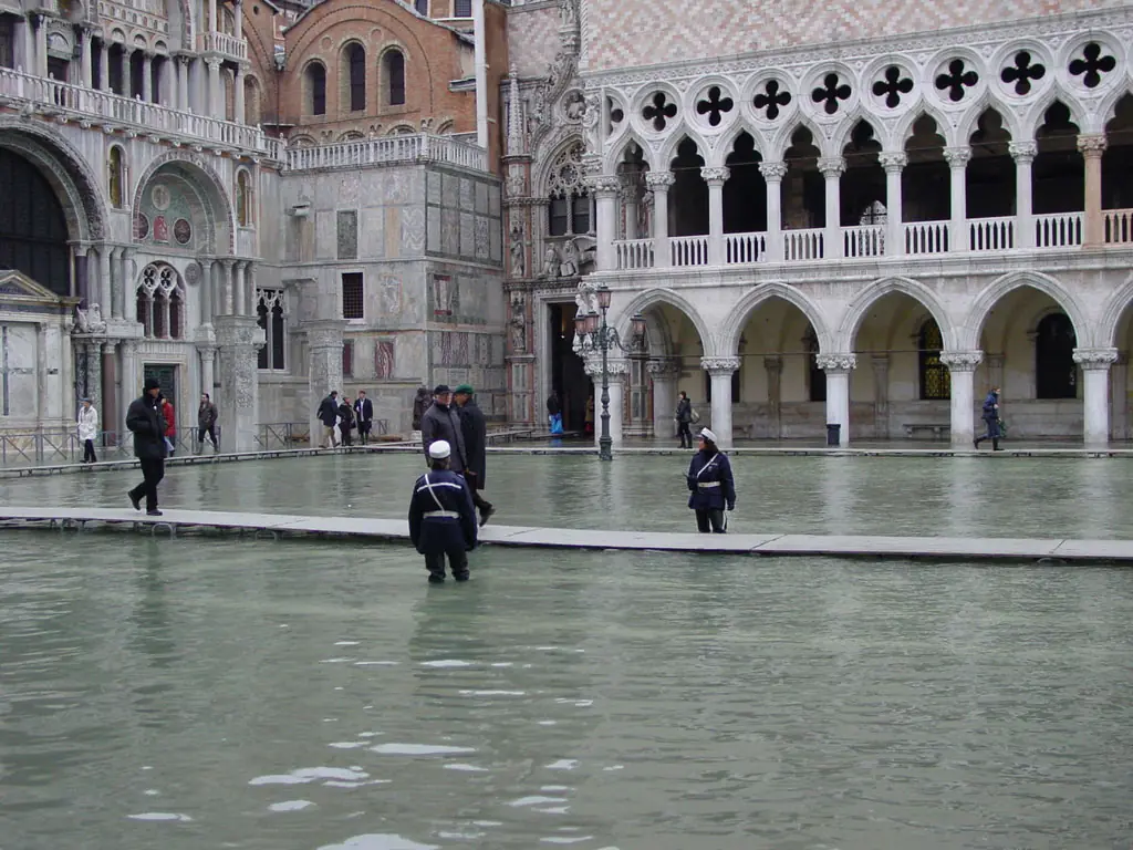Venecia