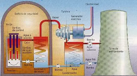 ¿Qué es y cómo funciona una planta nuclear?