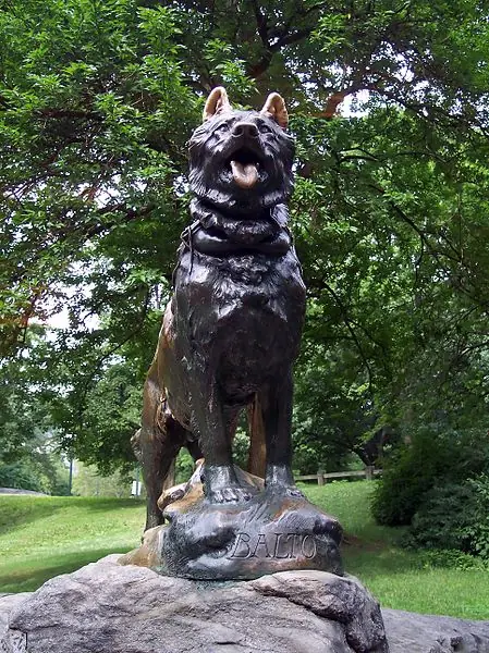 balto: la historia de un heroe.