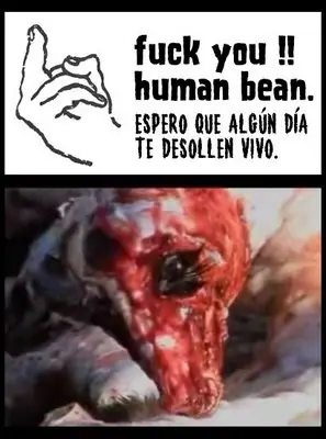 no