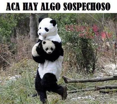 copado