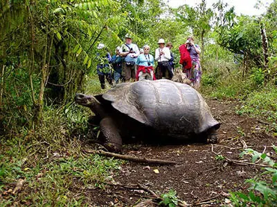oh animales gigantes!!!