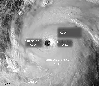 furia