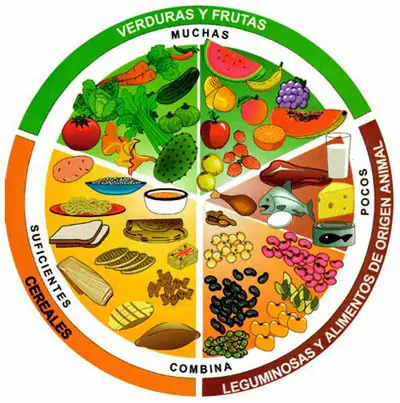 dieta