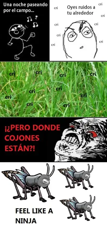 reis