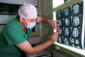 Hallan claves del tictac del cerebro