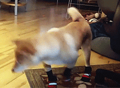 gifs que no han salido 24/01/2013