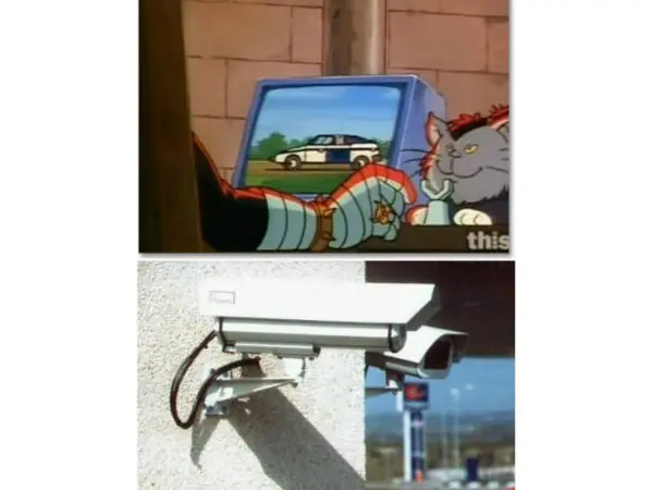 inspector