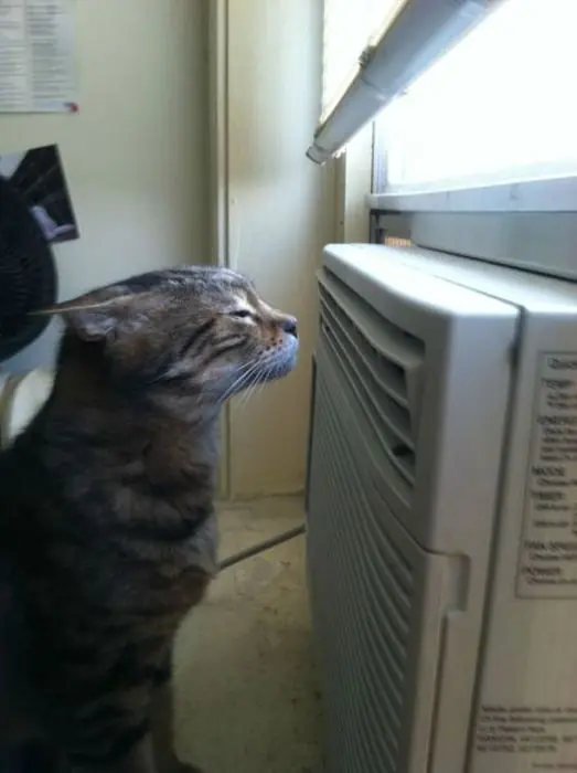 cuando el calor se hace insoportable.