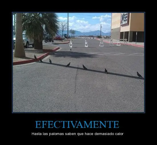 imagenes