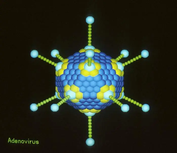 genomica
