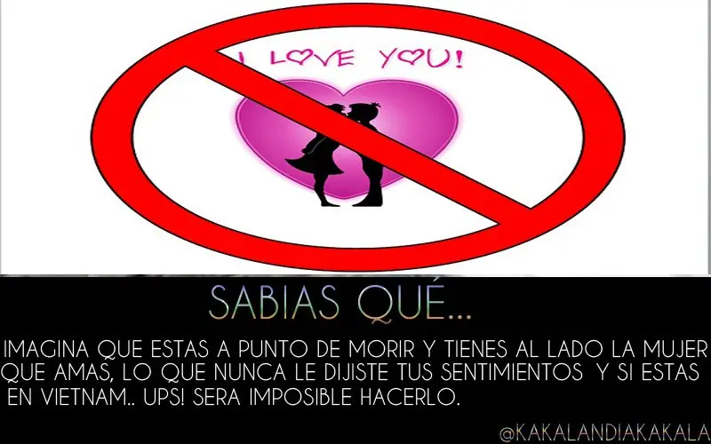 +10 Si No Lo sabias.