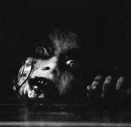 terror
